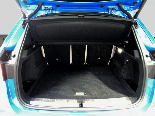 X1 xDrive25d M Sport 