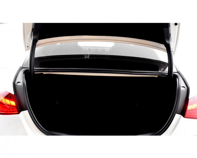 C 300d Avantgarde 